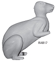 RAB17